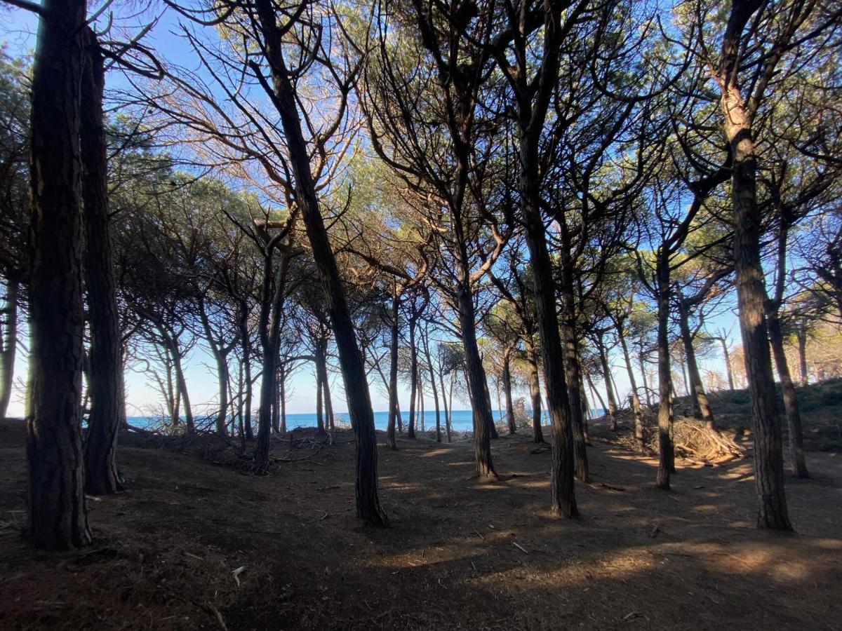 Appartamento Acquamarina Marina di Cecina Exteriör bild