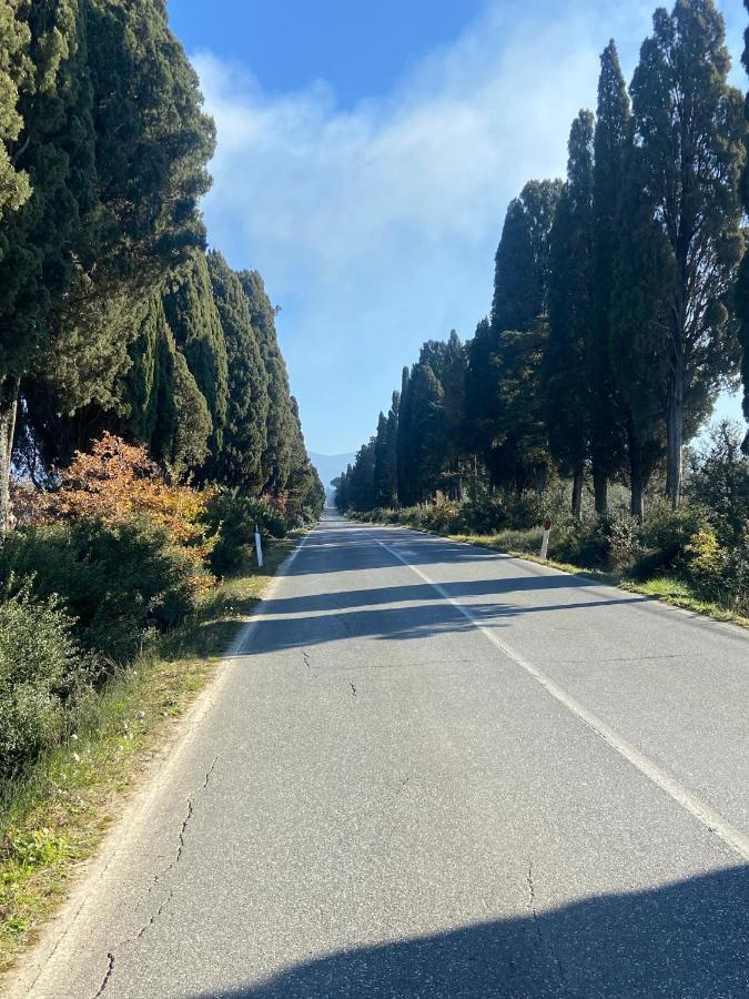 Appartamento Acquamarina Marina di Cecina Exteriör bild